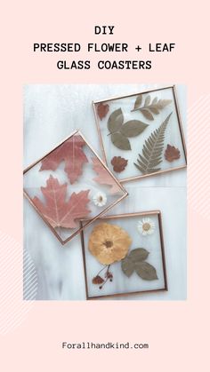 pressed flower and leaf glass coasters with text overlay that reads diy pressed flower and leaf glass coasters