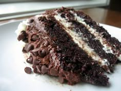 a piece of chocolate cake on a plate with white frosting and chocolate chips around it