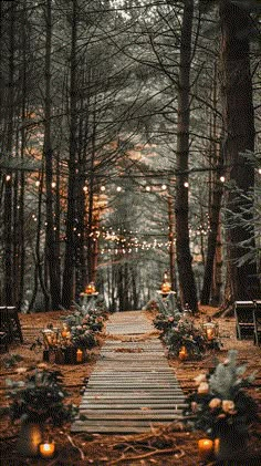 a wooden path in the woods with candles lit up on it and surrounded by trees