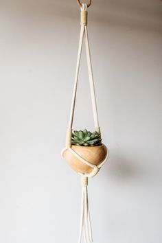 a potted plant hanging from a rope with a wooden bowl in the middle and succulents on top