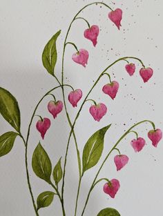 pink flowers with green leaves on a white background