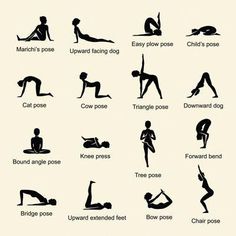 an image of yoga poses for beginners