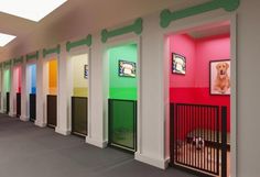 there are many different colored walls in this room with dogs on the doors and behind them is a dog kennel