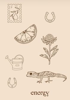 an image of a lizard and other items on a sheet of paper with the words energy