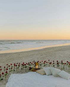 a blanket on the beach with roses and candles in it next to the ocean at sunset