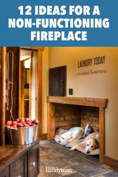 there are two dogs laying on the floor in front of a fire place that is built into the wall