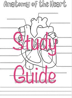 the anatomy of the heart study guide is shown in pink and white with black lines