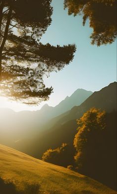 the sun shines brightly through the trees on top of a grassy hill with mountains in the background