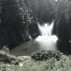 a large waterfall in the middle of a forest