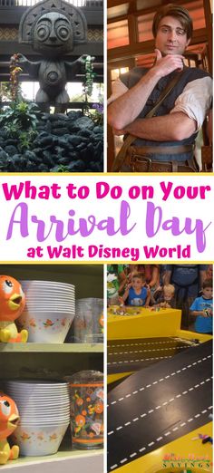 what to do on your arrival day at walt world with pictures of the theme park