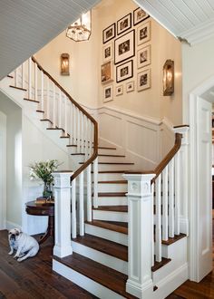 a dog laying on the ground in front of a stair case with pictures above it