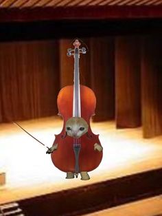 an animated image of a cat playing the cello in front of a concert hall stage