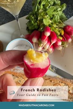 a person holding up a piece of food with the words french radishes your guide to fun fact