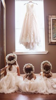 Unique Wedding Photography, Ring Bearers, Savannah Wedding, Engagement Inspo, Fall Weddings, Unique Flower