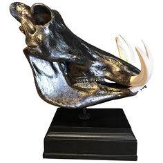 a bronze sculpture of an animal's skull on a black base with white tusks