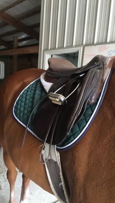 a brown horse standing inside of a stable