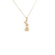 Solid Gold Rabbit Necklace, Easter Charm,Birthday Gift For Daughter, Bunny Pendant, Bunny Lover Charm, Appreciation Gift for Veterinary, 14K ✏About this necklace The solid gold rabbit pendant is the best choice if you want to add a touch of sweetness to your style! Rabbits and bunnies are of the most cute and loved animals so it's easy for them to win everyone's heart. It's like they exist in this world just to touch your heart with kindness. This pendant is the perfect jewel for you and your lo Gold Rabbit, Bunny Pendant, Rabbit Necklace, Birthday Gift For Daughter, Rabbit Pendant, Bunny Lovers, Solid Gold Chains, Gift For Daughter, Beautiful Gift Boxes