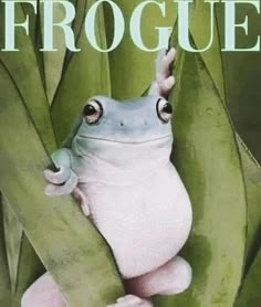 a frog sitting on top of a green leaf covered tree next to the words froguee