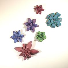 five different colored flowers on a white surface with one flower in the middle and three petals at the bottom