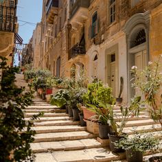 several potted plants line the steps leading up to an apartment building in old town