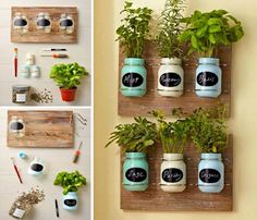 some mason jars with plants in them are hanging on the wall and there is also an herb planter