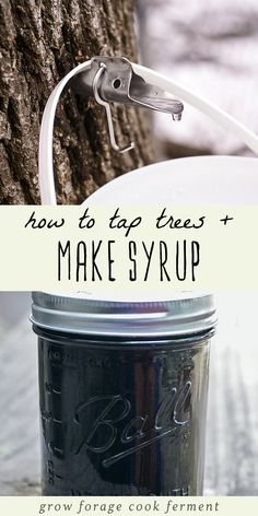 a mason jar sitting next to a tree with the words how to tap trees and make syrup