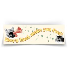 a bumper sticker that says, how do you make you feel? with two cats