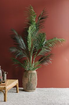 a palm tree in a woven basket next to a small table with two jars on it