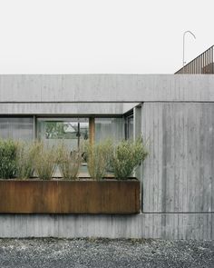 a window box with plants in it on the side of a concrete building next to a parking lot