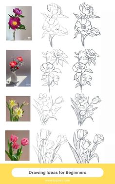 some flowers are shown in different stages of blooming, and the text below reads drawing ideas for beginners