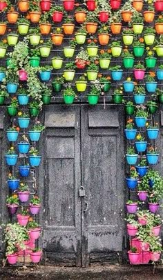 many potted plants on the side of a building