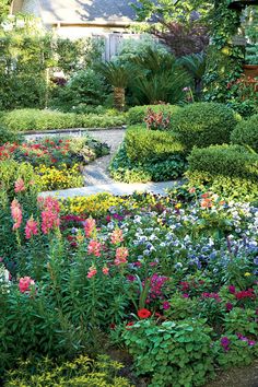 a garden filled with lots of different types of flowers