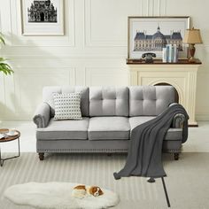 a living room with a gray couch and white rug