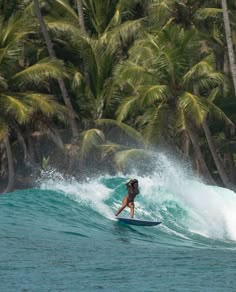 a woman riding a wave on top of a surfboard in front of palm trees