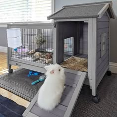 a white cat sitting on top of a wooden crate in front of a cage filled with animals