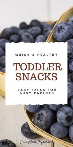 blueberries in baskets with text overlay reading quick and healthy toddler snacks easy ideas for busy parents