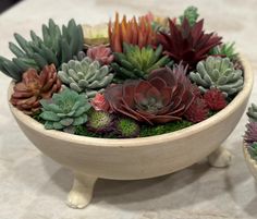 Decorative Rustic Footed Ceramic Bowl with Premium Faux Succulents, 15-inch Elevate your home decor with the perfect blend of elegance and sophistication. Our Premium Faux Succulents in a Ceramic Artisan Bowl, is a unique addition to any space, indoors or out. Each arrangement showcases the highest quality faux succulents, meticulously crafted to look astonishingly real. The subtle variations in craftsmanship ensure that every piece is one-of-a-kind, offering a distinct touch of natural beauty. Key Features: High-Quality Materials: Crafted with top-notch faux succulents that mimic the look and feel of real plants. Unique Craftsmanship: Each arrangement features subtle variations, making every piece unique. Maintenance-Free: Enjoy the beauty of natural varieties without the hassle of upkeep Plants Unique, Faux Succulents, Henderson Nv, Real Plants, Red Clay, Ceramic Bowl, White Painting, Ceramic Bowls, Elevate Your Home