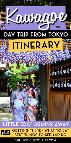 two women in kimonos walking towards a shrine with purple flowers hanging from the ceiling