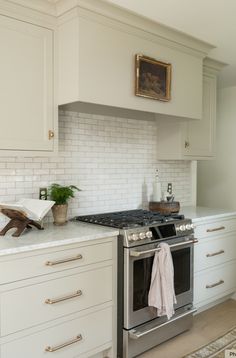 a white kitchen with an oven, dishwasher and potted plant on the counter