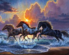 three horses running on the beach at sunset with waves crashing in front of them and clouds