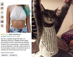 the cat is wearing a crochet tank top and has it's paws up in the air