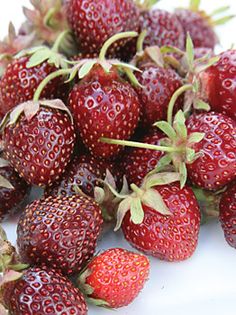 a pile of ripe strawberries sitting on top of a white table next to each other