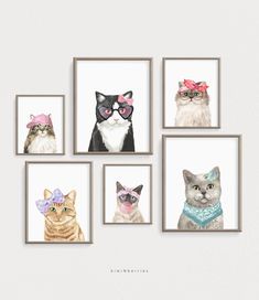 four framed pictures with cats wearing glasses