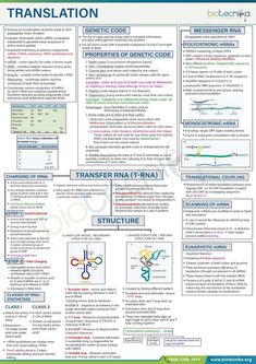 a poster with information about the different types of transvations and their corresponding functions