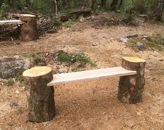 a wooden bench sitting in the middle of a forest next to two tree stumps