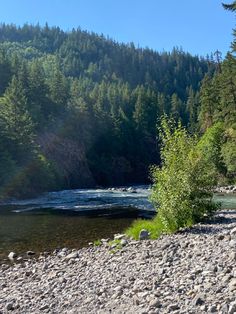 a river running through a forest filled with lots of rocks and green trees in the background