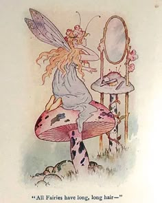 a fairy sitting on top of a mushroom next to a mirror