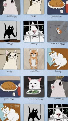 an image of cats in different colors and sizes