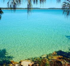 the water is crystal clear and blue