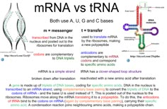 an article about the differences between mri and rna